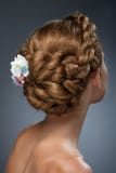Back view of beautiful haircut with flowers royalty free stock photo Back view of beautiful haircut with flowers royalty free stock photo