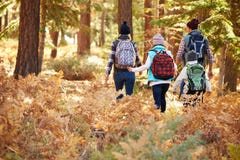 Back view of family hiking through forest, California, USA stock image Back view of family hiking through forest, California, USA stock image