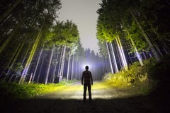 Back view of man with head flashlight standing on forest ground road among tall brightly illuminated spruce trees under beautiful royalty free stock image Back view of man with head flashlight standing on forest ground road among tall brightly illuminated spruce trees under beautiful royalty free stock image