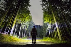 Back view of man with head flashlight standing on forest ground road among tall brightly illuminated spruce trees under beautiful stock image Back view of man with head flashlight standing on forest ground road among tall brightly illuminated spruce trees under beautiful stock image