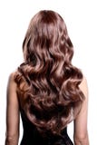 Back View Of Brunette Woman With Long Black Curly Hair. Stock Photos Back View Of Brunette Woman With Long Black Curly Hair. Stock Photos