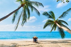 Back view of young beautiful woman sunbathe and relax on tropical beach alone stock photo Back view of young beautiful woman sunbathe and relax on tropical beach alone stock photo