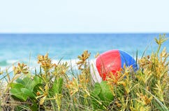Background colorful beach ball in sand dunes grass of ocean