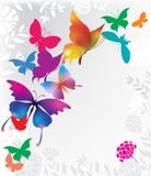 Background with colorful butterflies