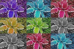 Background of flowers. flowers stock photos Background of flowers. flowers stock photos