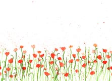 Background with hand drawing watercolor red poppies on white. royalty free illustration Background with hand drawing watercolor red poppies on white. royalty free illustration