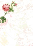 Background illustration 08. Decoration background, element for design vector illustration Background illustration 08. Decoration background, element for design vector illustration
