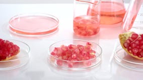 Background Cosmetic laboratory research and development with pomegranate extract