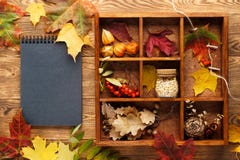Background with leaves, nuts and berries in box and a notebook. royalty free stock photo Background with leaves, nuts and berries in box and a notebook. royalty free stock photo