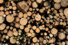 A background of a stack of logs stock photo A background of a stack of logs stock photo
