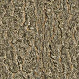 Background texture tree. seamless texture stock images Background texture tree. seamless texture stock images
