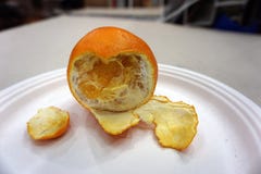 Peeled orange Put on a white table