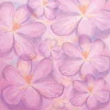 Backgroung abstrato da aquarela com flores do açafrão Flores desenhadas mão foto de stock Backgroung abstrato da aquarela com flores do açafrão Flores desenhadas mão foto de stock