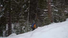 Backpacker que camina en bosque del invierno metrajes Backpacker que camina en bosque del invierno metrajes