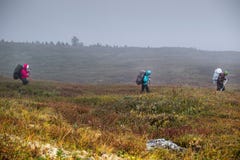 Backpackers. Summer in the Altai mountains, Russia Royalty Free Stock Images Backpackers. Summer in the Altai mountains, Russia Royalty Free Stock Images