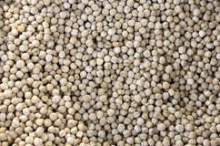 Backround udziały chickpea fotografia stock Backround udziały chickpea fotografia stock