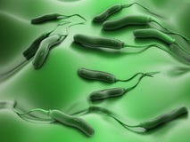Bacterias de E coli Bacterias de E coli