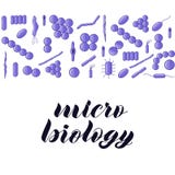 Bacterias púrpuras Letras micro de la mano de la biología libre illustration Bacterias púrpuras Letras micro de la mano de la biología libre illustration