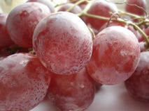 Bagni la spazzola di grande uva rosa Fotografia Stock Libera da Diritti Bagni la spazzola di grande uva rosa Fotografia Stock Libera da Diritti