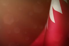 Bahrain-Flagge für Ehre des Veteranentages oder -Volkstrauertags Ruhm zu den Bahrain-Helden des Kriegskonzeptes auf rotem dunklem lizenzfreie abbildung Bahrain-Flagge für Ehre des Veteranentages oder -Volkstrauertags Ruhm zu den Bahrain-Helden des Kriegskonzeptes auf rotem dunklem lizenzfreie abbildung