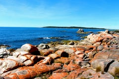 Bahía del esqueleto de Tasmania de la costa este fotografía de archivo libre de regalías Bahía del esqueleto de Tasmania de la costa este fotografía de archivo libre de regalías