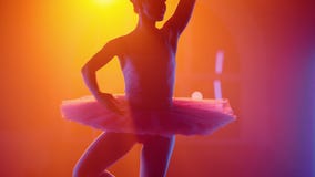 Bailarina Elegante En Tutu Bailando Elementos De Ballet Clásico En Colorido Neón Luz. Reflector Multicolor Metrajes - Vídeo de danza, flexibilidad: 220154448 Bailarina Elegante En Tutu Bailando Elementos De Ballet Clásico En Colorido Neón Luz. Reflector Multicolor Metrajes - Vídeo de danza, flexibilidad: 220154448