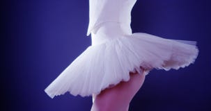Bailarín de ballet de la mujer que se coloca en tutú Fotografía de archivo Bailarín de ballet de la mujer que se coloca en tutú Fotografía de archivo
