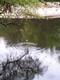 Baisse de l'eau sur la rivière de satilla image libre de droits Baisse de l'eau sur la rivière de satilla image libre de droits