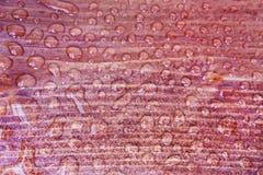 Baisses de l'eau sur le conseil en bois photographie stock Baisses de l'eau sur le conseil en bois photographie stock