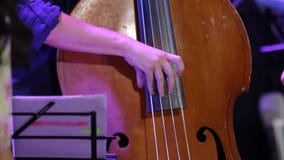 Bajo doble del juego rápido del hombre Bajo doble del juego rápido del hombre