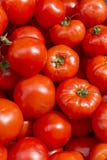 Bakgrund för textur för modell för ny röd tomatabstrakt begreppfrukt färgrik royaltyfria bilder Bakgrund för textur för modell för ny röd tomatabstrakt begreppfrukt färgrik royaltyfria bilder