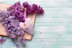 Bakgrund med nya lila blommor på den öppen tappningboken och honom arkivfoton Bakgrund med nya lila blommor på den öppen tappningboken och honom arkivfoton