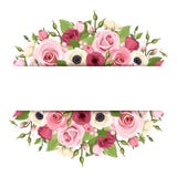 Bakgrund med röda och vita blommor för rosa färger, Vektor EPS-10 stock illustrationer Bakgrund med röda och vita blommor för rosa färger, Vektor EPS-10 stock illustrationer