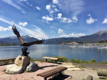 The Bald eagle at Dillon Lake royalty free stock photography The Bald eagle at Dillon Lake royalty free stock photography