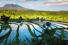 Bali Stock Image Bali Stock Image