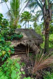 BALI Ö, INDONESIEN - AUGUSTI 25, 2008: En liten koja i juni royaltyfria bilder BALI Ö, INDONESIEN - AUGUSTI 25, 2008: En liten koja i juni royaltyfria bilder