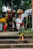 Balinese woman carrying ceremonial box with offerings on her head, Ubud Stock Photo Balinese woman carrying ceremonial box with offerings on her head, Ubud Stock Photo