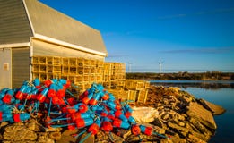 Balises colorées de pêche de homard photo stock Balises colorées de pêche de homard photo stock