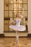Ballerina in der Ballethaltung stockfotos Ballerina in der Ballethaltung stockfotos