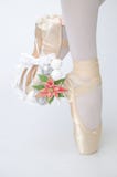 Ballerina`s leg with whreath on white background royalty free stock images Ballerina`s leg with whreath on white background royalty free stock images