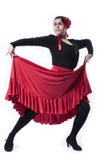 Ballo di flamenco fotografia stock Ballo di flamenco fotografia stock