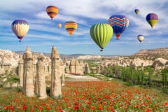 Ballonger för varm luft som flyger över ett fält av vallmo och att vagga den förälskade dalen för landskap på Cappadocia royaltyfria foton Ballonger för varm luft som flyger över ett fält av vallmo och att vagga den förälskade dalen för landskap på Cappadocia royaltyfria foton