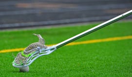 balowy nadchodzący puszka lacrosse kij obrazy royalty free balowy nadchodzący puszka lacrosse kij obrazy royalty free