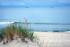 Baltic sea shore, dunes, sand beach, blue sky