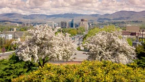 Balzi nella città di Boise Idaho con gli alberi di fioritura immagini stock Balzi nella città di Boise Idaho con gli alberi di fioritura immagini stock