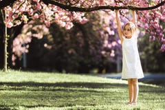 Bambina adorabile in vestito bianco in giardino rosa di fioritura il bello giorno di molla immagine stock Bambina adorabile in vestito bianco in giardino rosa di fioritura il bello giorno di molla immagine stock