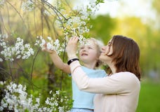 Bambina sveglia nelle armi della sua bella madre nel meleto o della ciliegia durante la fioritura pasqua fotografie stock libere da diritti Bambina sveglia nelle armi della sua bella madre nel meleto o della ciliegia durante la fioritura pasqua fotografie stock libere da diritti