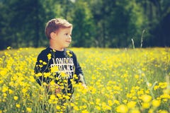 Bambino del ragazzino in un campo meraviglioso dei fiori gialli immagine stock libera da diritti Bambino del ragazzino in un campo meraviglioso dei fiori gialli immagine stock libera da diritti