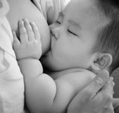 Bambino di allattamento al seno della madre immagine stock libera da diritti Bambino di allattamento al seno della madre immagine stock libera da diritti