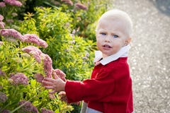 Bambino in giardino immagine stock Bambino in giardino immagine stock